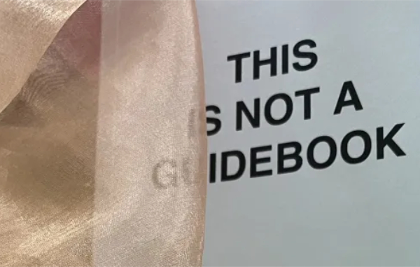 This is not an art guide