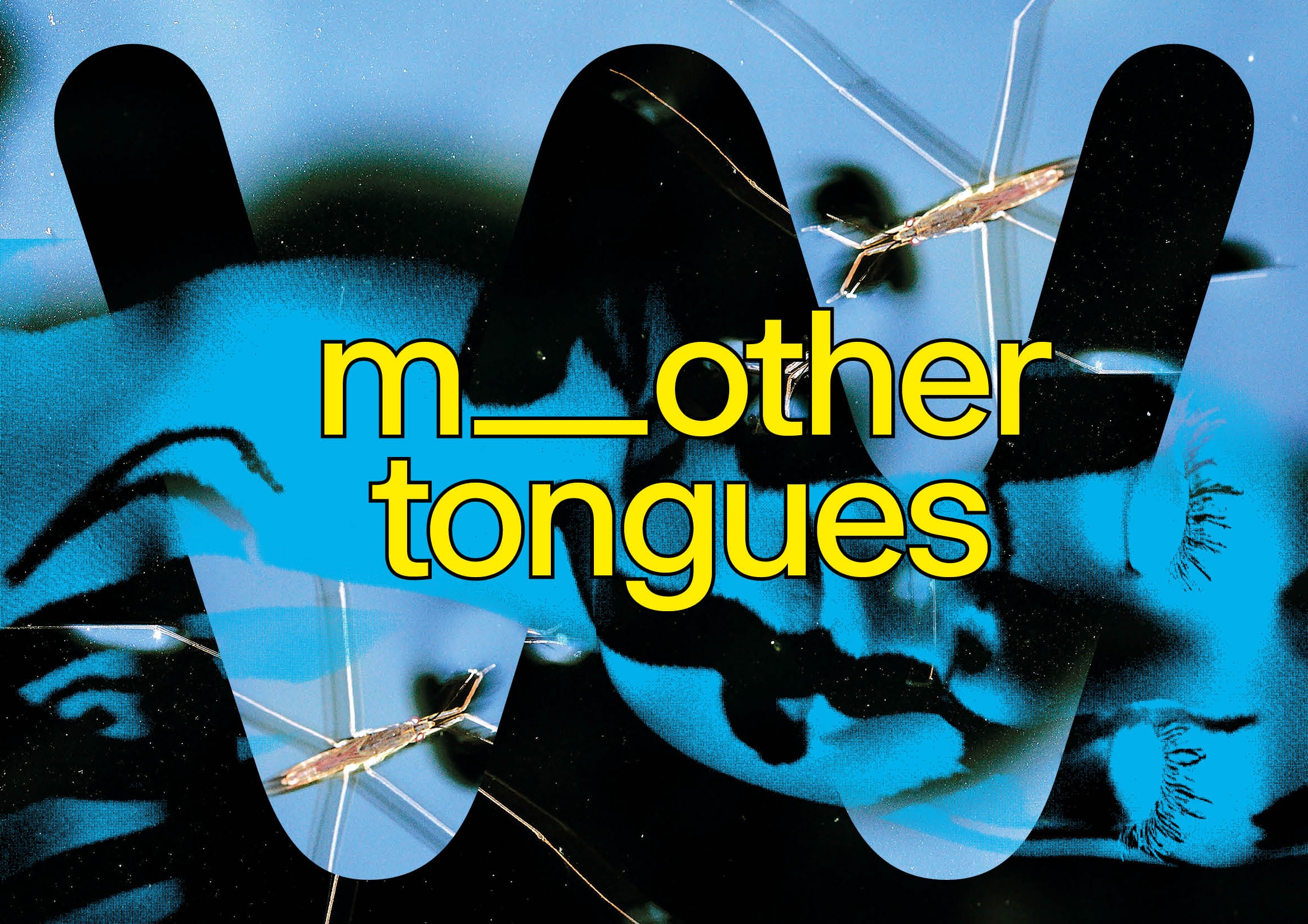 m_other tongues. wildwuchs festival 2025